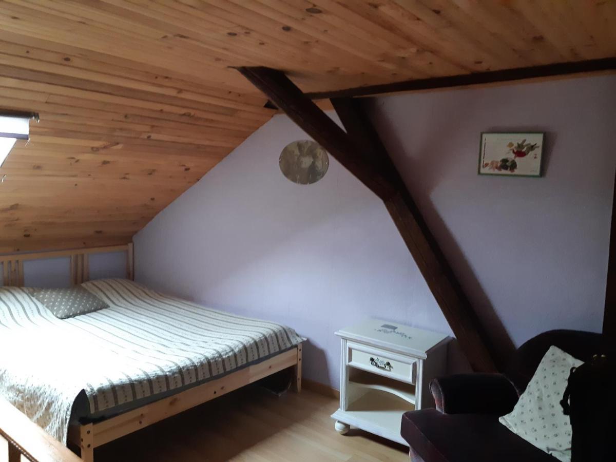 Gite Convivial Et Familial Au Coeur Du Val D'Argent Sainte-Croix-aux-Mines Екстериор снимка